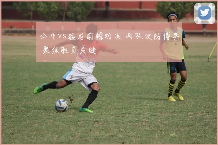 公牛vs猛龙前瞻对决 两队攻防博弈 聚焦胜负关键
