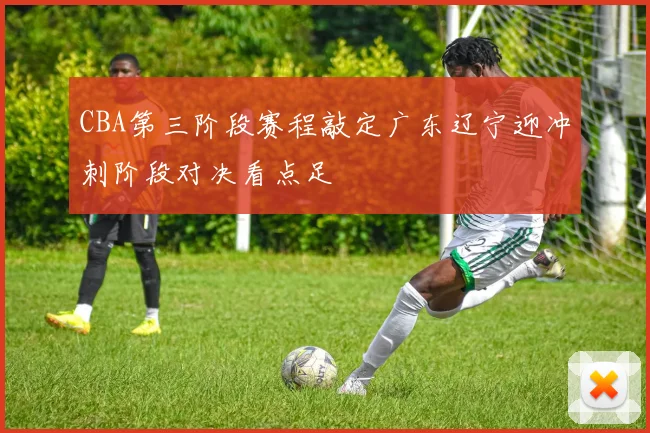 CBA第三阶段赛程敲定广东辽宁迎冲刺阶段对决看点足