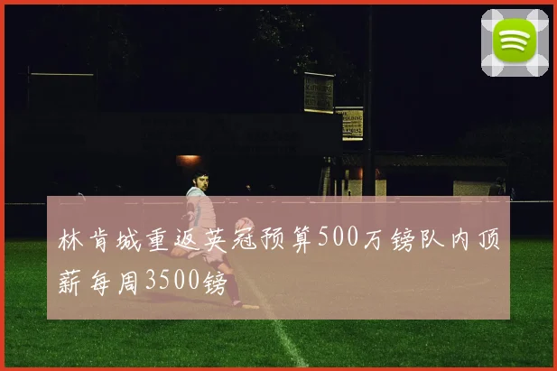 林肯城重返英冠预算500万镑队内顶薪每周3500镑