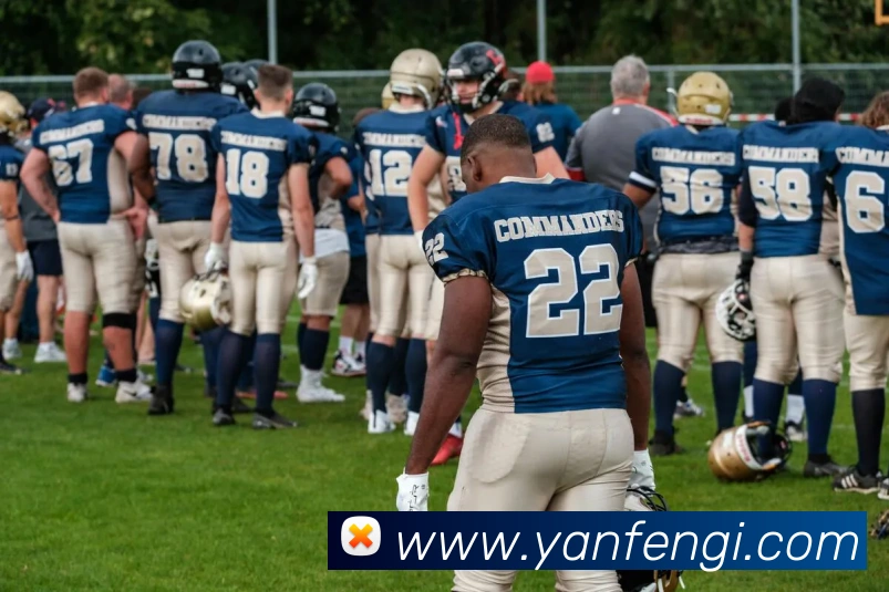 米兰在线登录官网APP 封面图